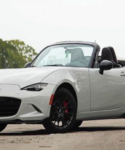 Mazda Mx 5 Miata Car paint by numbers