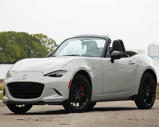 Mazda Mx 5 Miata Car paint by numbers