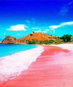 Pink Beach Komodo Island Landscapepaint by numbers