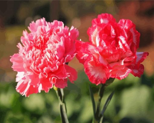 Pink Carnation Flower paint by numbers