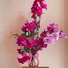 Purple And Pink Bougainvilea paint by numbers