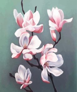 Pink White Magnolia Flower paint by numbers