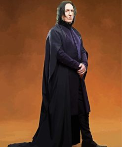 Professor Serevus Snape Harry Poter paint by numbers