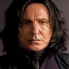 FProfessor Severus Snape Movie paint by numbers