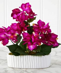 Purple Bougainvilea paint by numbers