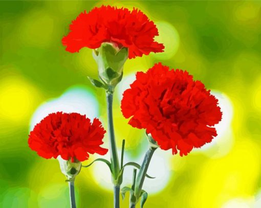 Adorable Bright Red Carnation paint by numbers