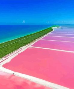 Saltwater Lagoon In Bonaire Island paint by numbers