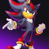 Shadow Sonic Anime paint by numbers