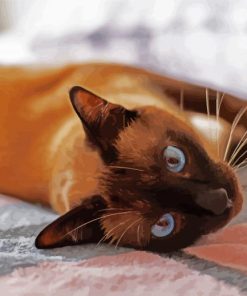 SIamese Cat With Blue Eyes paint by numbers