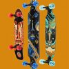 Skate Longboards Art paint by numbers