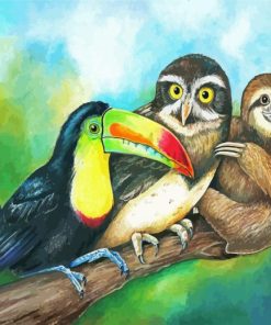 Sloth With Toucan And Owl Animals painnt by numbers