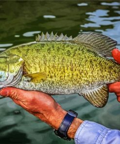 Smallmouth Fish paint by numbers