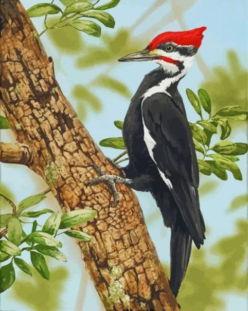 The Woodpecker Bird paint by number