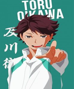 Tory Oikawa Haikyuu Anime paint by numbers