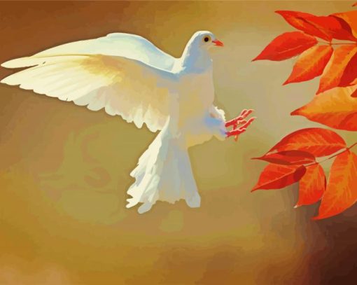 White Dove Bird paint by numbers