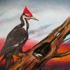 Woodpecker Bird paint by number