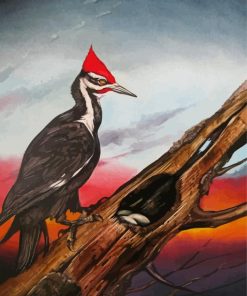 Woodpecker Bird paint by number