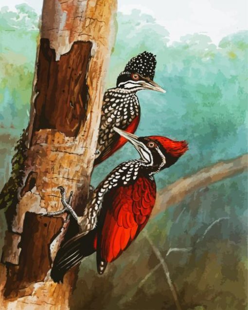 Woodpecker Birds paint by number