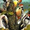 Woodpeckers Family Picoides paint by number