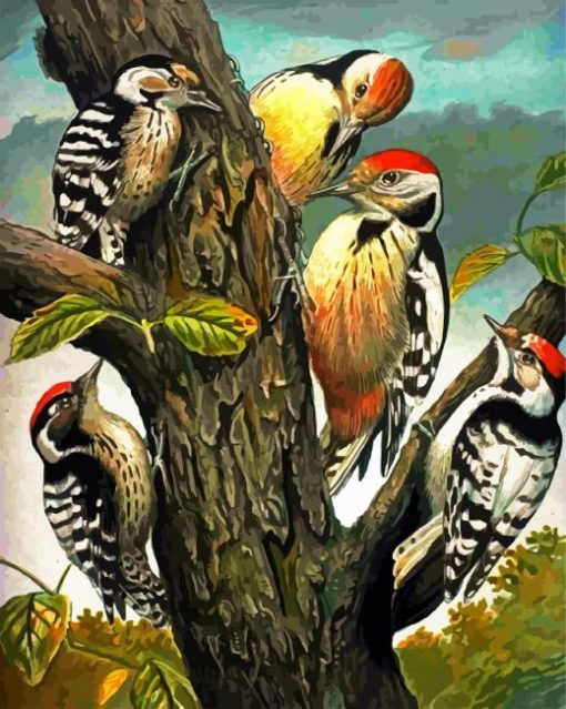 Woodpeckers Family Picoides paint by number