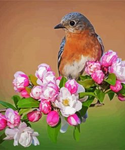 Wren Bird On Flowers paint by number