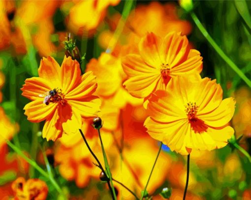 Yellow Cosmos Flowers paint by numbers