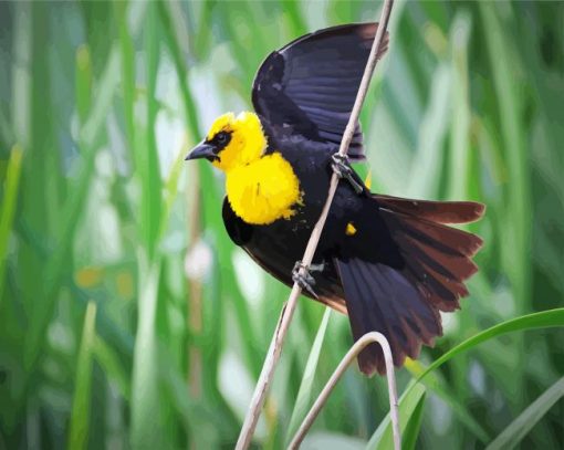 Yellow Headed Blackbird On A Branch paint by number