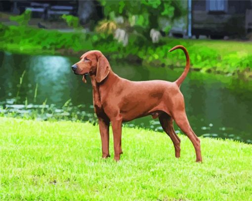 Aesthetic Brown Coonhound Dog paint by numbers