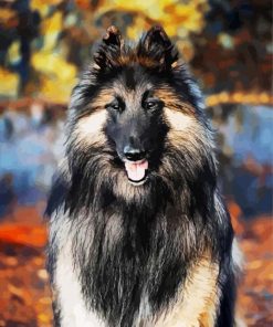 Belgian Tervuren Animal paint by numbers