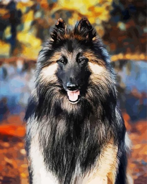 Belgian Tervuren Animal paint by numbers