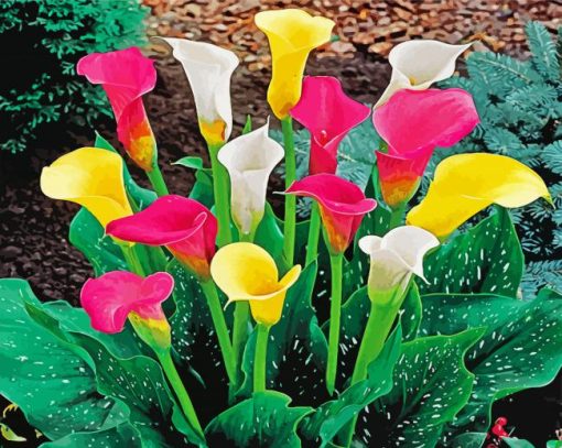 Aesthetic Colorful CaLa Lily Flowers paint by numbers