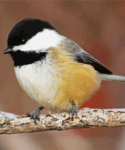 Aesthetic Cute Chickadee paint by number