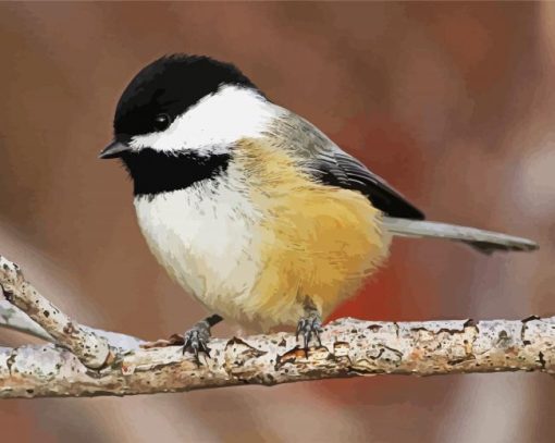 Aesthetic Cute Chickadee paint by number