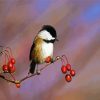 Aesthetic Chickadee Bird paint by number