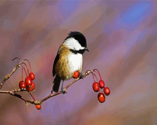 Aesthetic Chickadee Bird paint by number