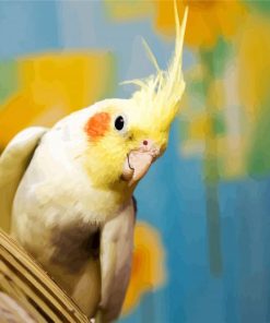 Aesthetic Cockatiel Bird paint by numbers