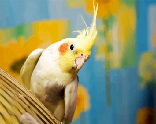 Aesthetic Cockatiel Bird paint by numbers