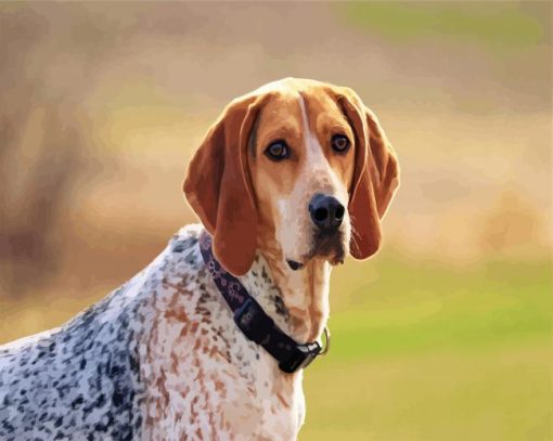 Aesthetic Coonhound Dog paint by numbers