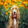 Aesthetic Golden English Cocker Spaniel paint by numbers