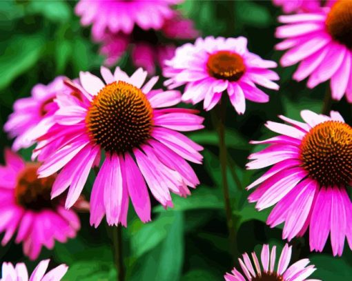 Cute Purple ConeFlower paint by numbers