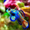 Aesthetic Colorful Fish paint by numbers