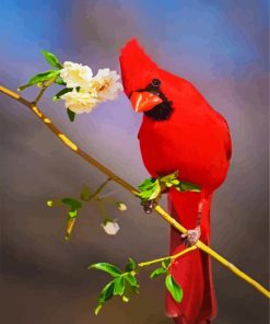 Aesthetic Red Cardinal Bird paint by numbers