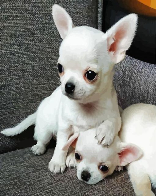 Aesthetic White Chihuahuas paint by number