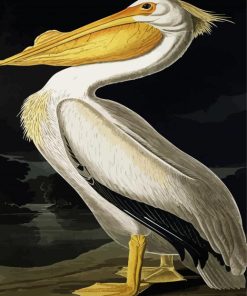 American White Pelican By Jonhn James paint by numbers