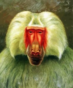 Baboon Animal Art paint by numbers