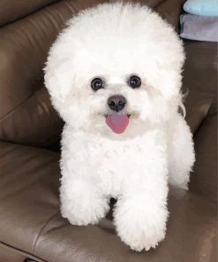 Aesthetic White Bichon Puppy paint by numbers