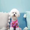 Aesthetic Cute Bichon Puppy paint by numbers