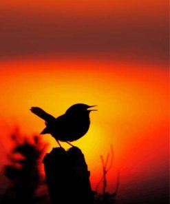 Bird Silhouette paint by number