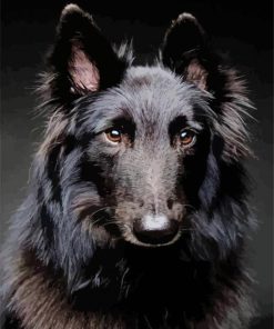 Black Belgian Tervuen Animal paint by numbers