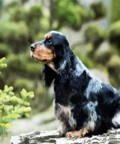 Aesthetic Black English Cocker Spaniel paint by numbers